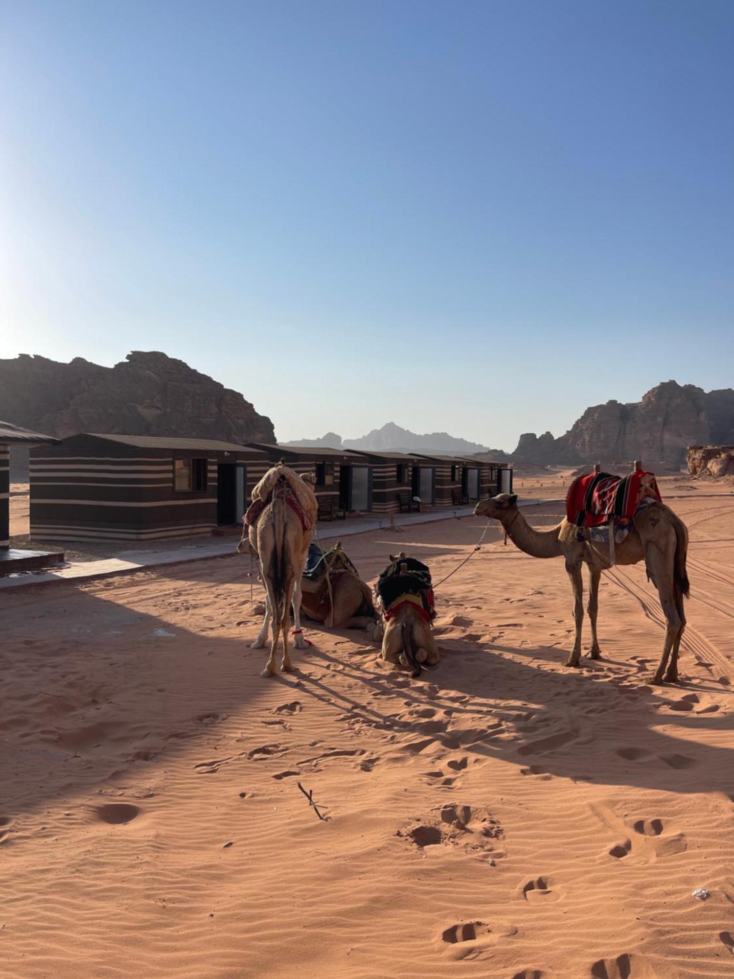 Wadi Rum Magic Camp Exterior foto