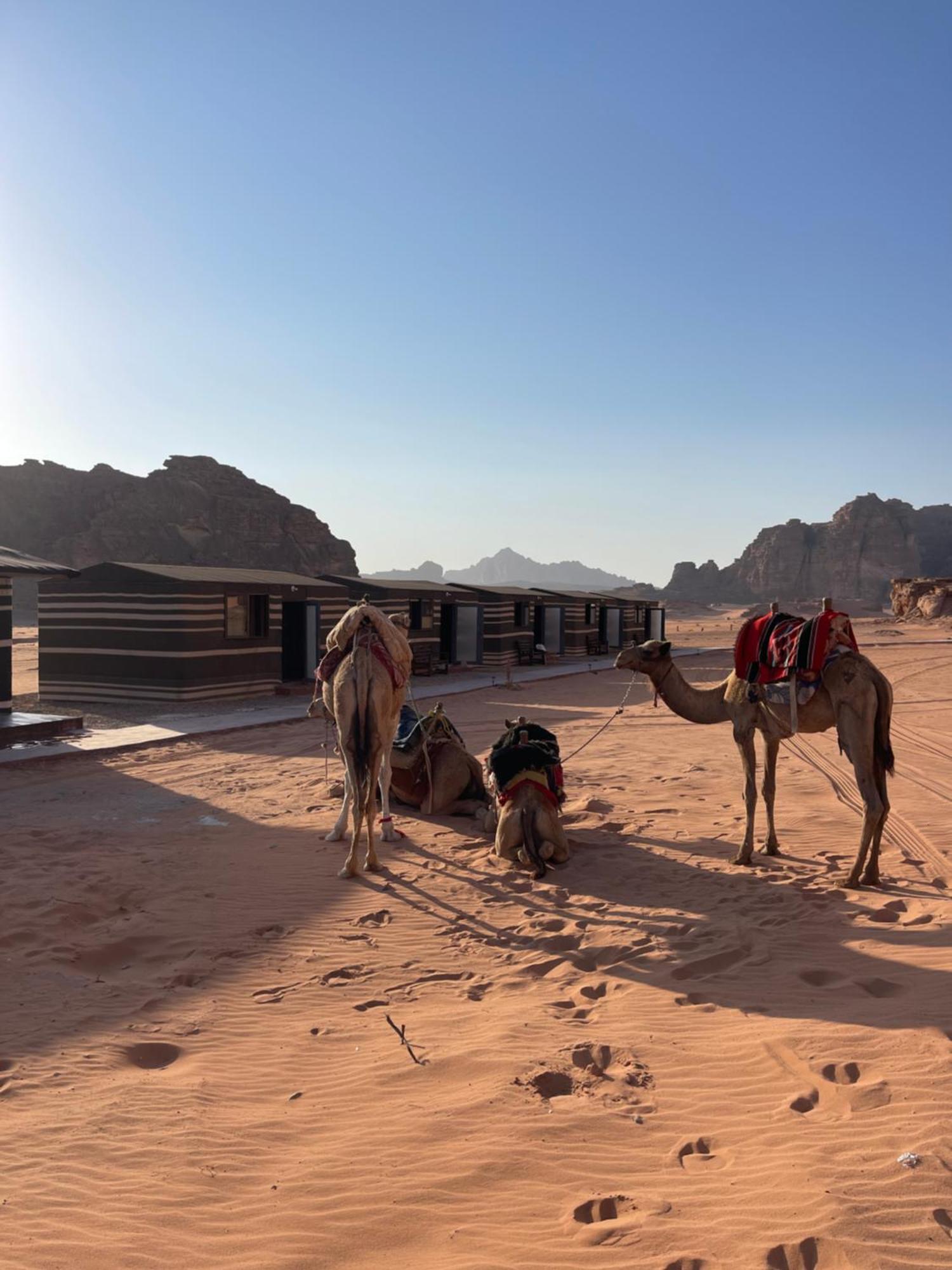 Hotel Wadi Rum Magic Camp Exterior foto